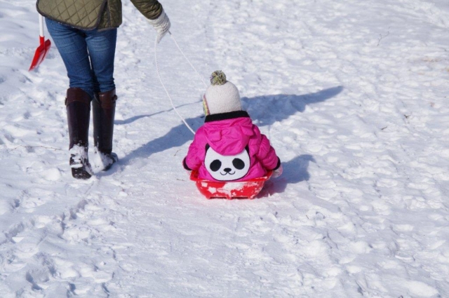 北海道にきてびっくり①:子どもがソリで引っ張られてる