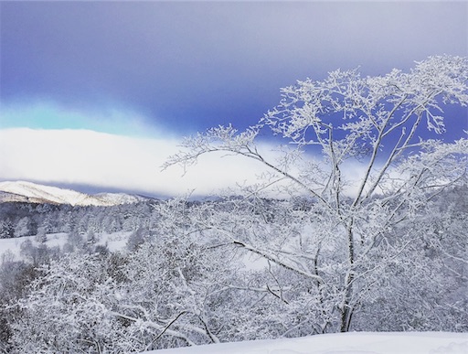 北海道にきてびっくり⑤:雪景色が圧倒的に綺麗 スキー場