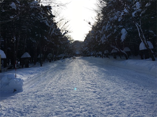f:id:maidov09v:20190217173634j:image