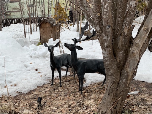 f:id:maidov09v:20190328213213j:image