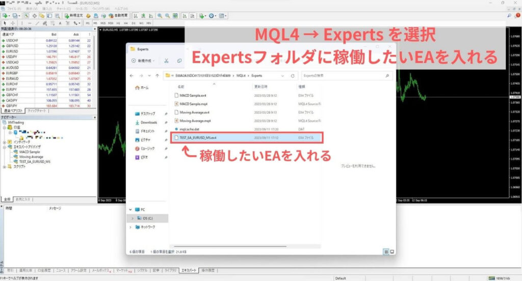 Expertsフォルダの中にEA（.ex4）のファイルを入れる